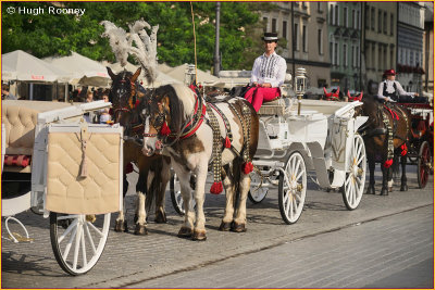  Krakow - Rynek Glowny -  Tourist horse drawn carriage awaiting customers 