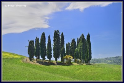 Italy - Tuscany