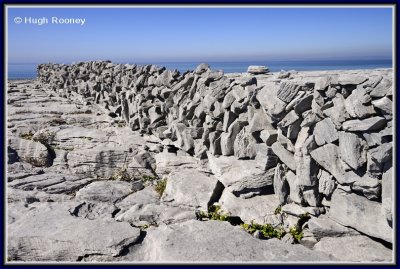  Ireland - Co.Clare - The Burren