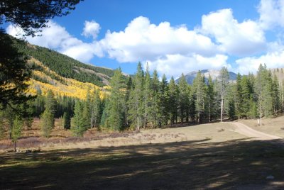 DSC_2524.JPG