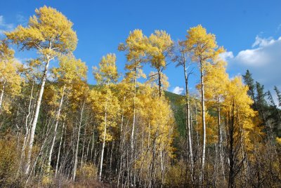 DSC_2526.JPG