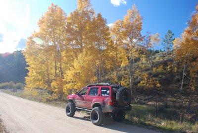 DSC_2527.JPG