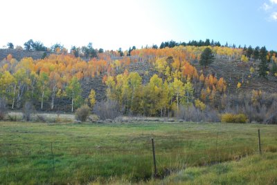 DSC_2528.JPG