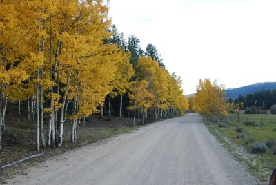 DSC_2529.JPG