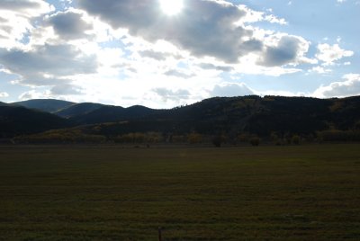 DSC_2530.JPG