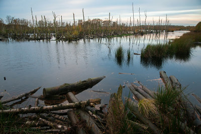 Landschap PSLR-8691.jpg