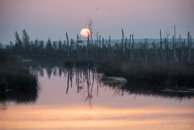 Zonsopkomst in Bagerveen PSLR-0770.jpg