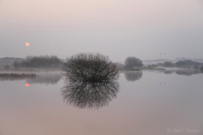 Zonsopkomst Bargerveen PSLR-5166.jpg