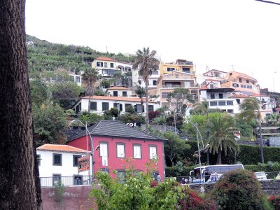Homes on Steep Hillside