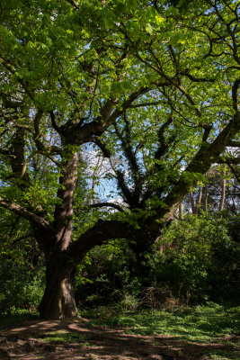 g9/34/1157034/3/155862486.DoF8ZVlL.jpg
