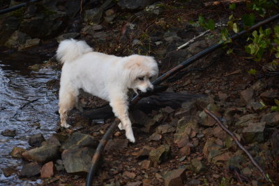DSC_8756.JPG