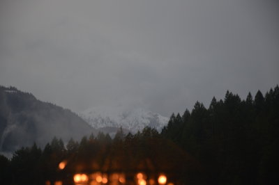 DSC_8769.JPG