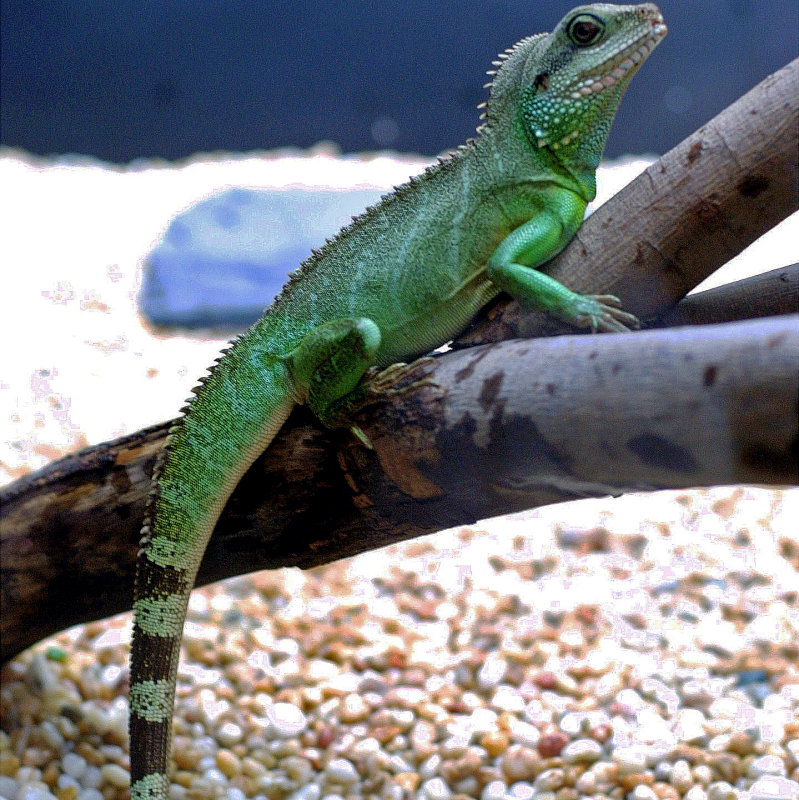 120-2089_IMG_2.jpg