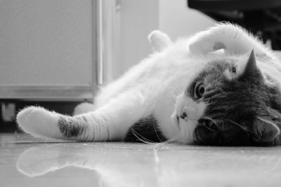 Sunbathing Without The Sun Is Most Healthy