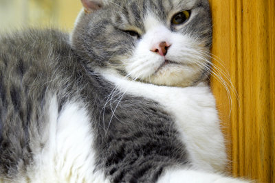 Why U Waking Me Up ? !!