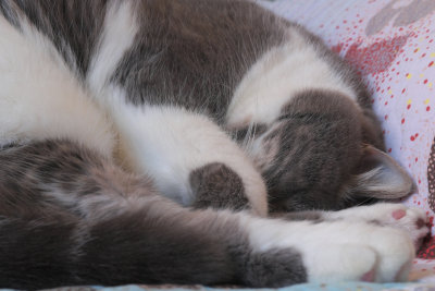 I am in my winter sleep ! See U all in Spring.