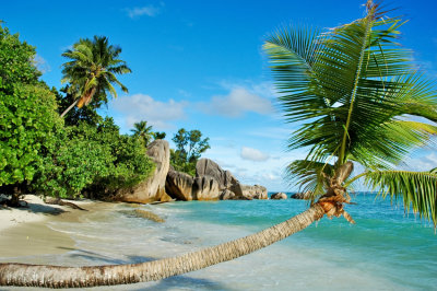 seychelle Islands_Adobe.jpg