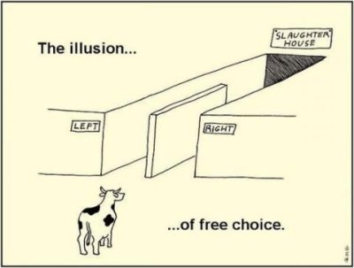 free choice cartoon.jpg
