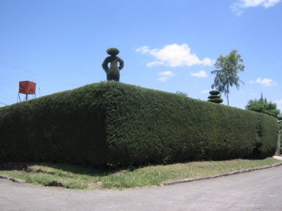 Hedge art is very popular in the suburbs of Addis Abeba