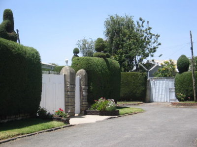 more hedge art in the suburbs of Addis Abeba