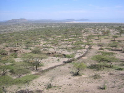 View of lake Abiata from a distance