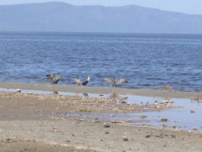 Lake Abiata