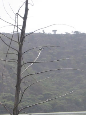 Lake Hora, Debre Zeit