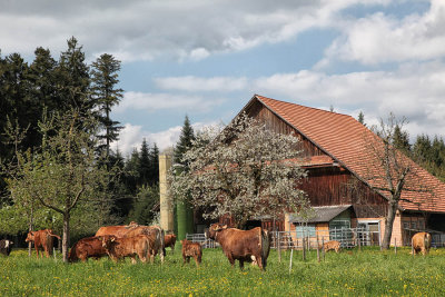 Farming