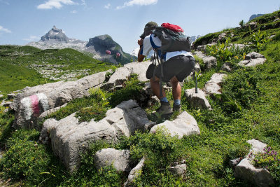 Getting the nature closer ...