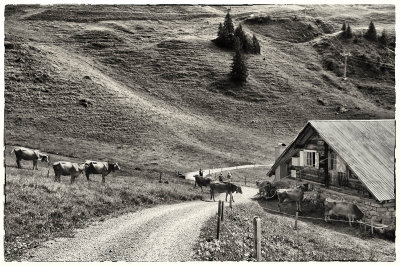 Farmer house 