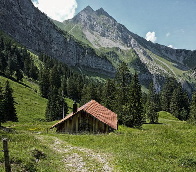 Shelter