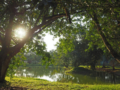 Botanical garden 