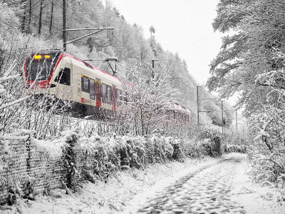 Regional train along Rotsee