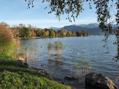 Along lake Lucerne