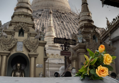 Shwedagon Pagoda