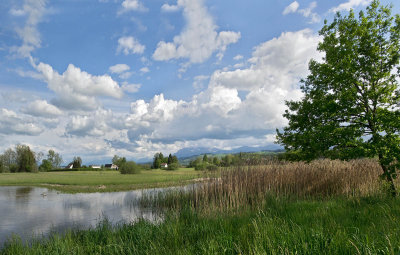 Sursee, with view of a part of the Sempachersee