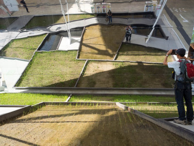 Rice fields trough the mirror: Exhibition Hall of Vietnam