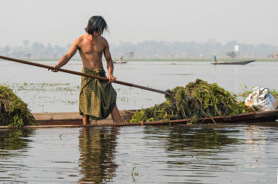 Harvesting weeds in the lake