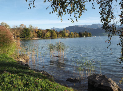 Part of Lake Lucerne