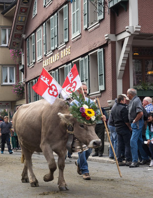 Alpabzug in Kerns