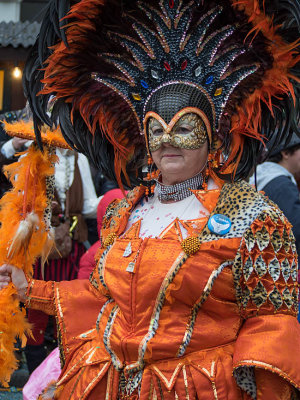 Carnival costume orange