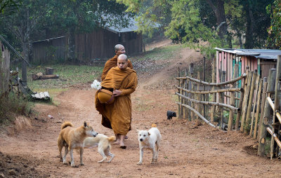 Monks collecting their food.