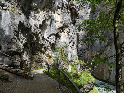 Entrance to the Gorge