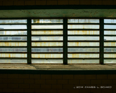 Trans-Allegheny Lunatic Asylum