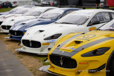 Maserati Trofeo 2014