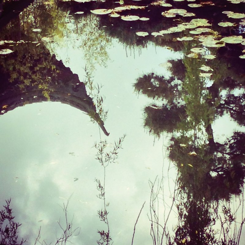 Imagery