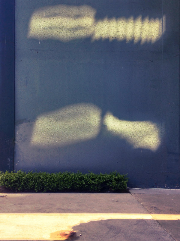 The landscape on the wall