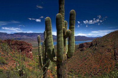 Roosevelt Lake, Arizona