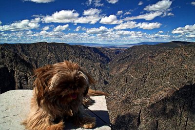 Casey at Black Canyon of the Gunnison National Park