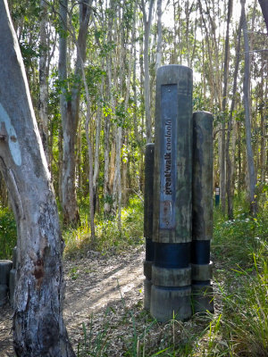Cooloola and Fraser